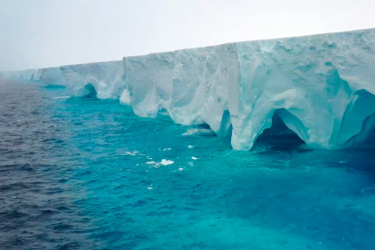 El iceberg más grande del mundo avanza hacia las Islas Georgias: ¿qué implica su recorrido?