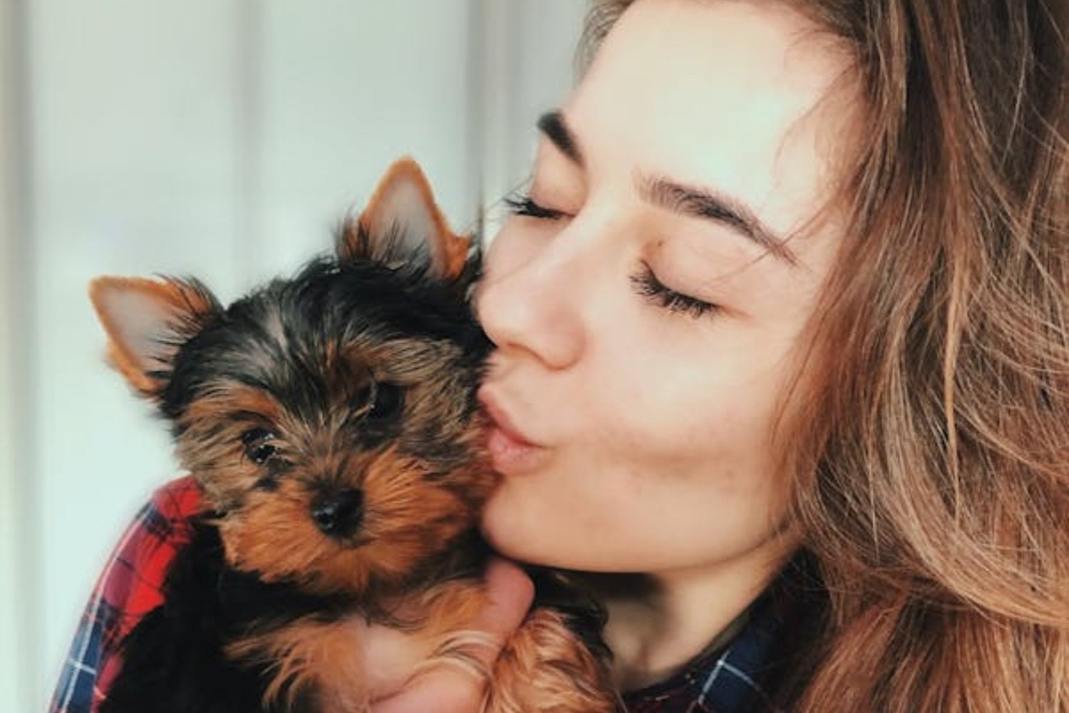 ¿Es cierto que los perros se parecen a sus dueños? Un estudio revela la verdad