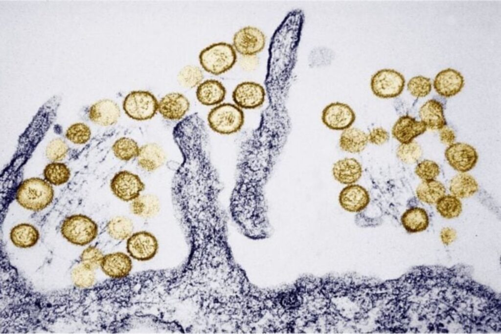 Diseño Sin Título (44)