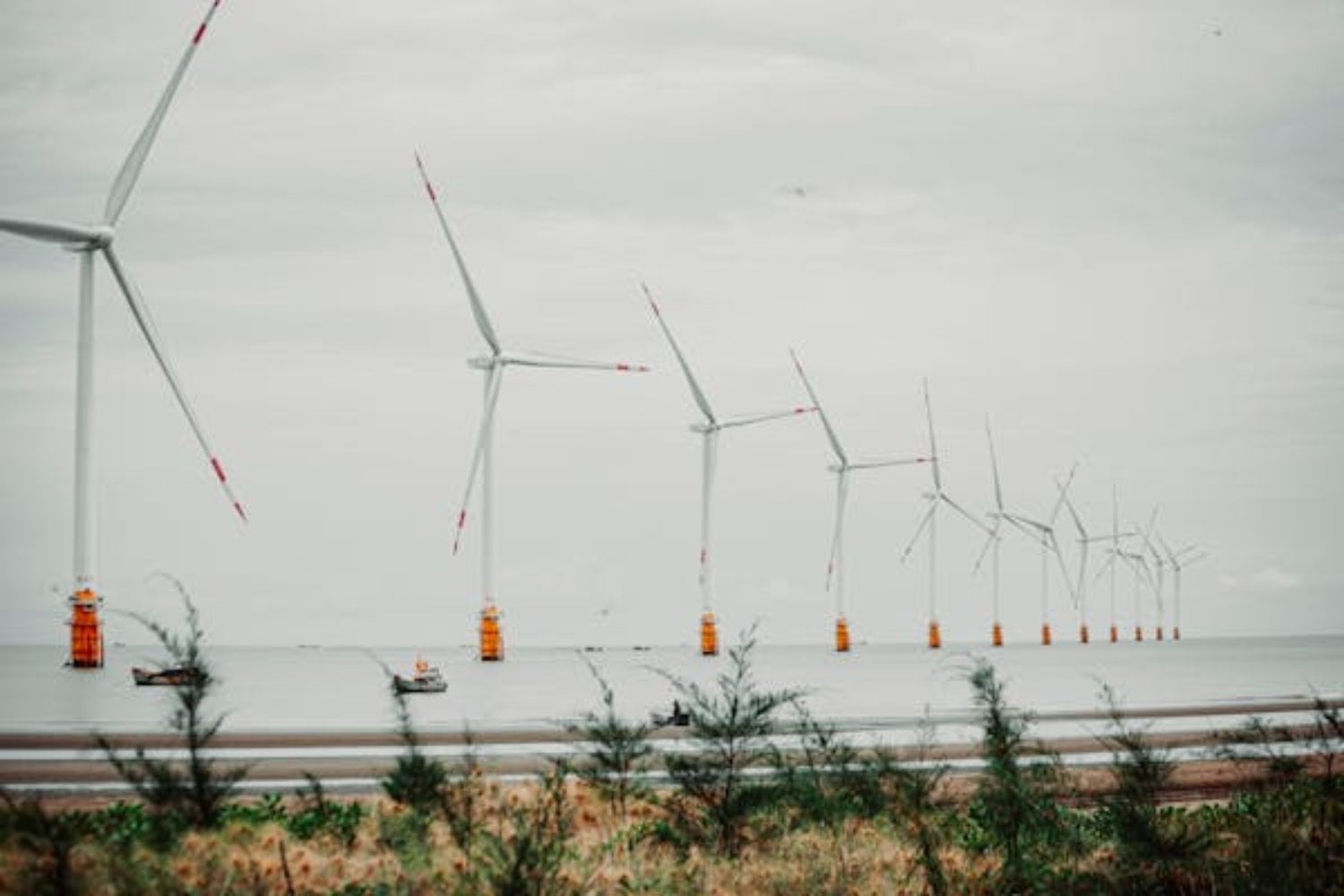 Nueva York vs Trump por energía renovable