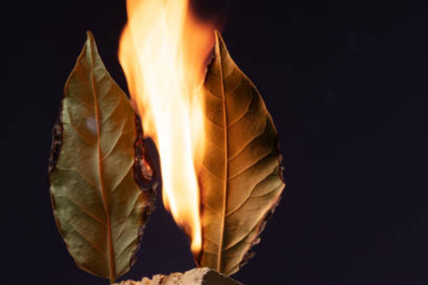 ritual para atraer abundancia y éxito laboral