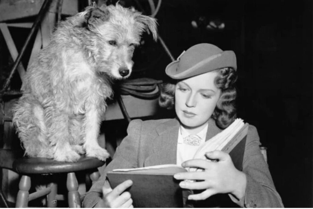 Diseño Sin Título (51)