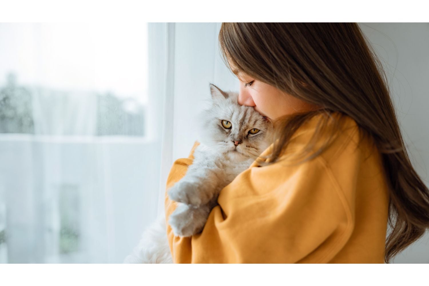 Diseño Sin Título (53)