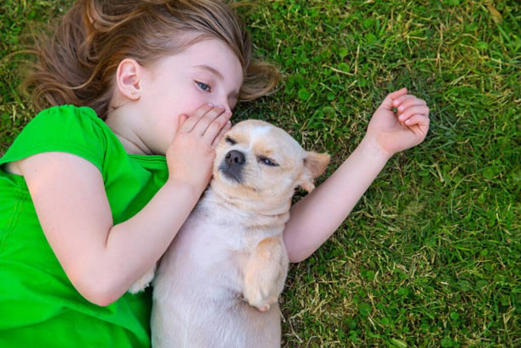 ¿Pueden los perros comunicarse con los humanos? Un estudio revela una sorprendente capacidad