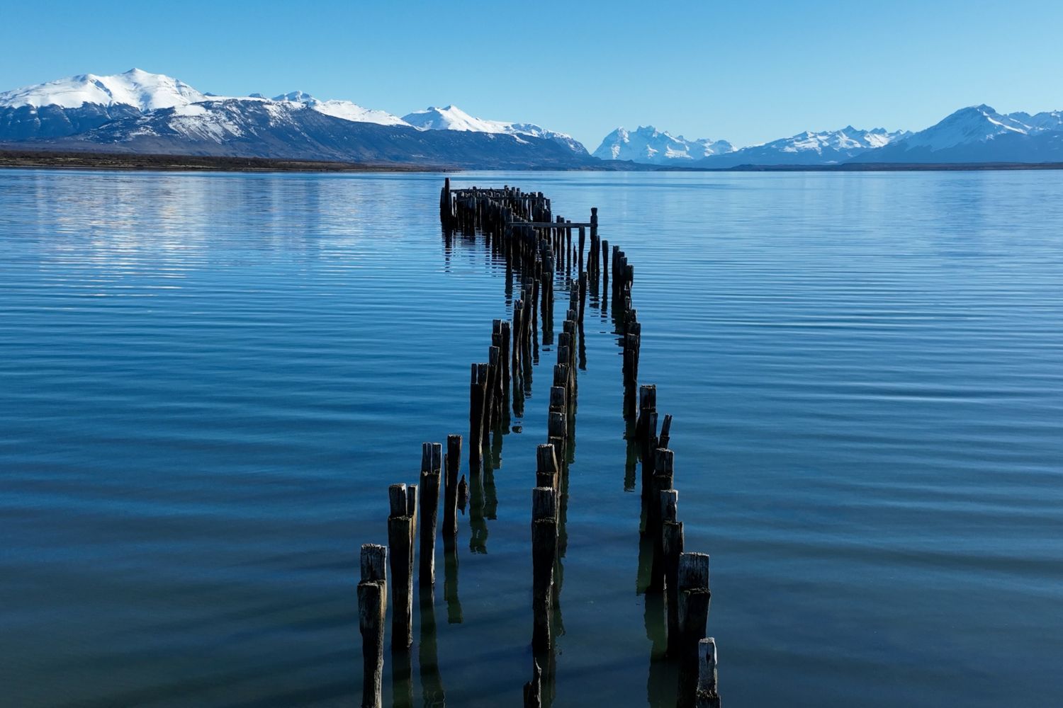 Diseño Sin Título (55)