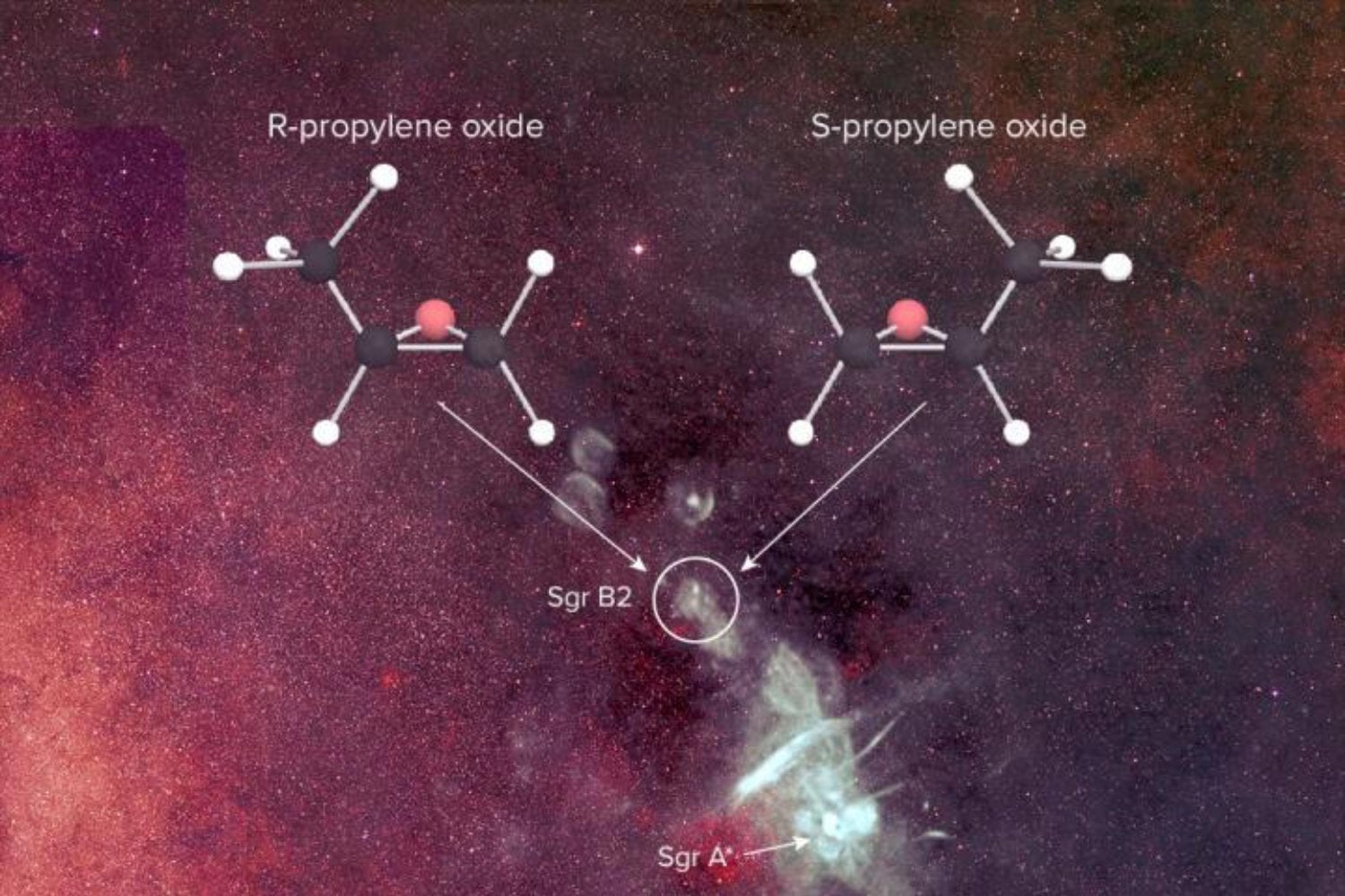 bacterias espejo riesgo para la vida