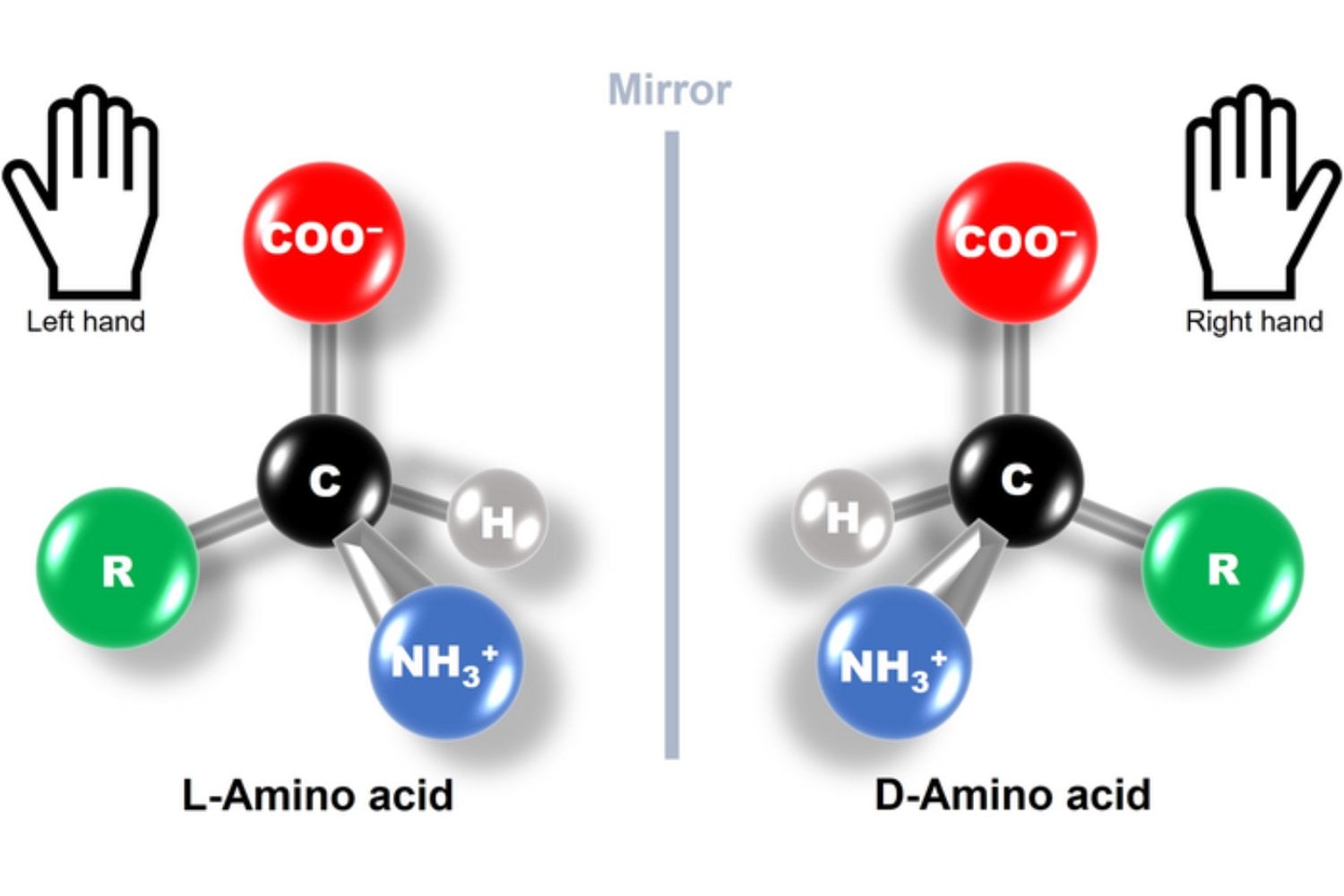bacterias espejo riesgo para la vida