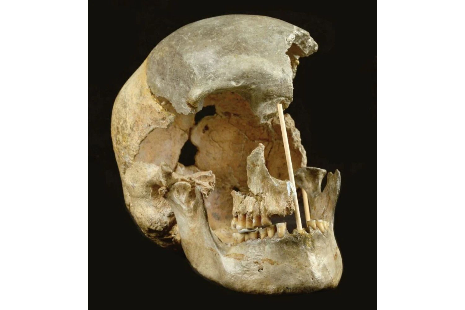 Diseño Sin Título (60)