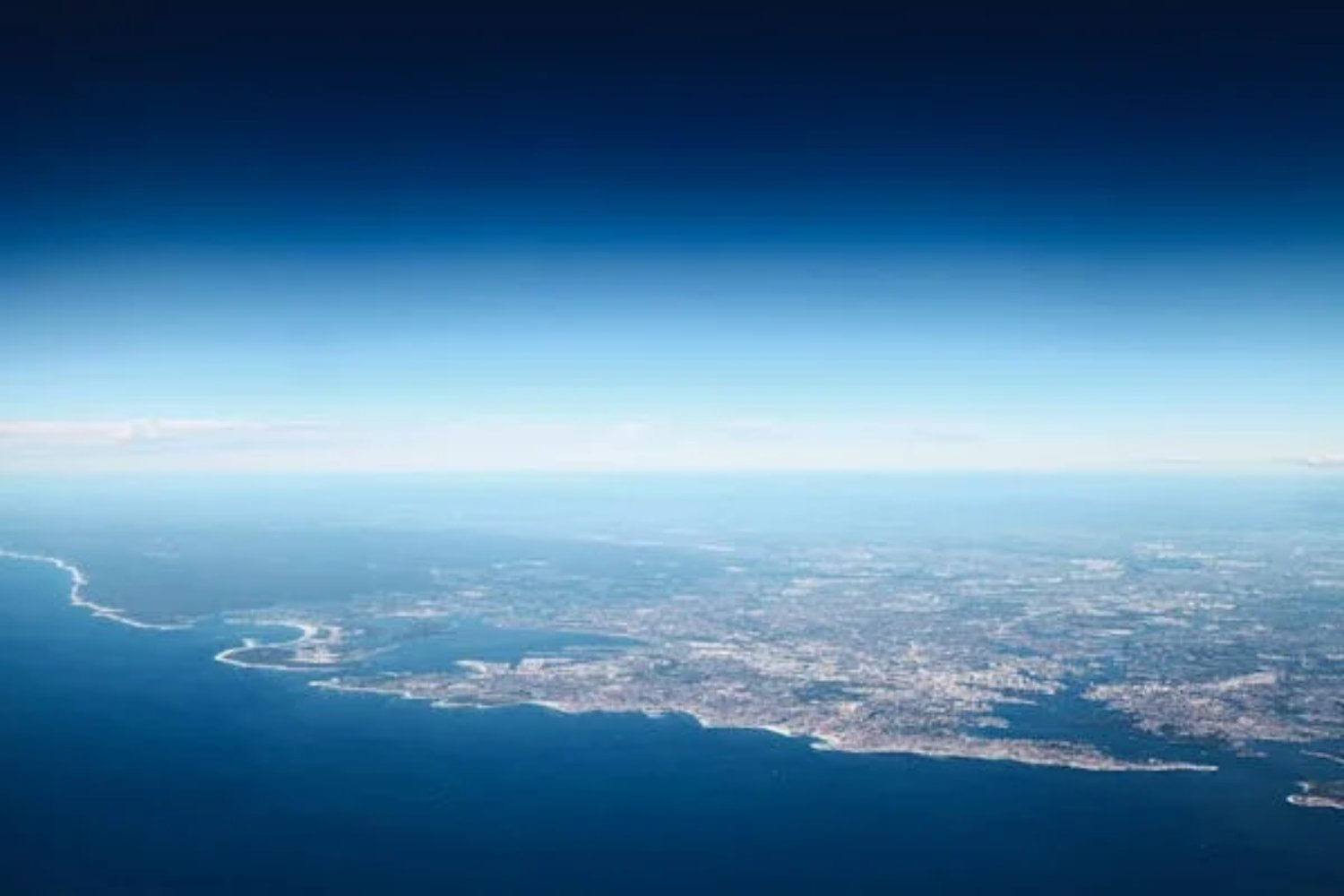 Megacoral ballenas verse desde el espacio