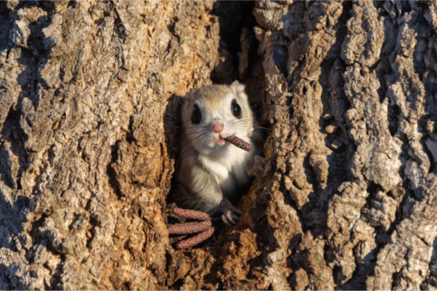 Diseño Sin Título (63)