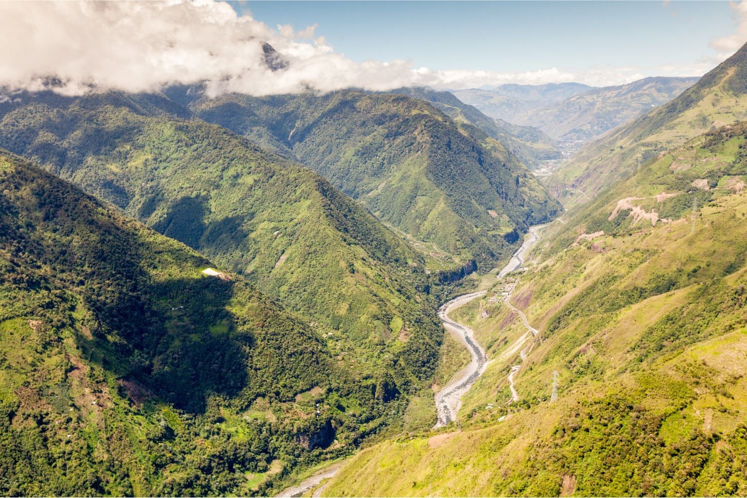 Diseño Sin Título (65)