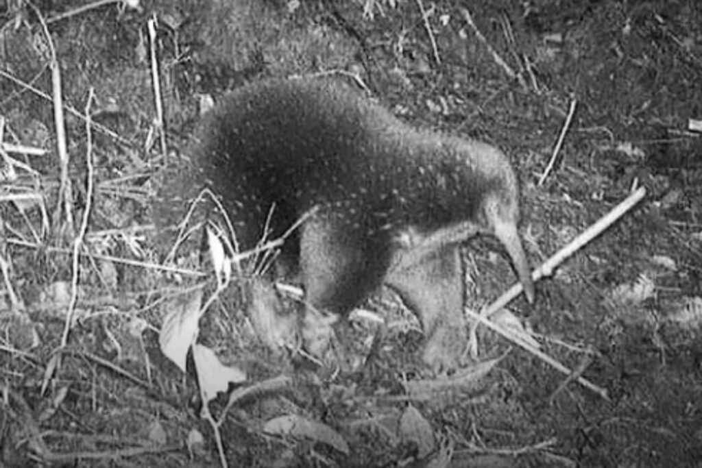 Diseño Sin Título (72)