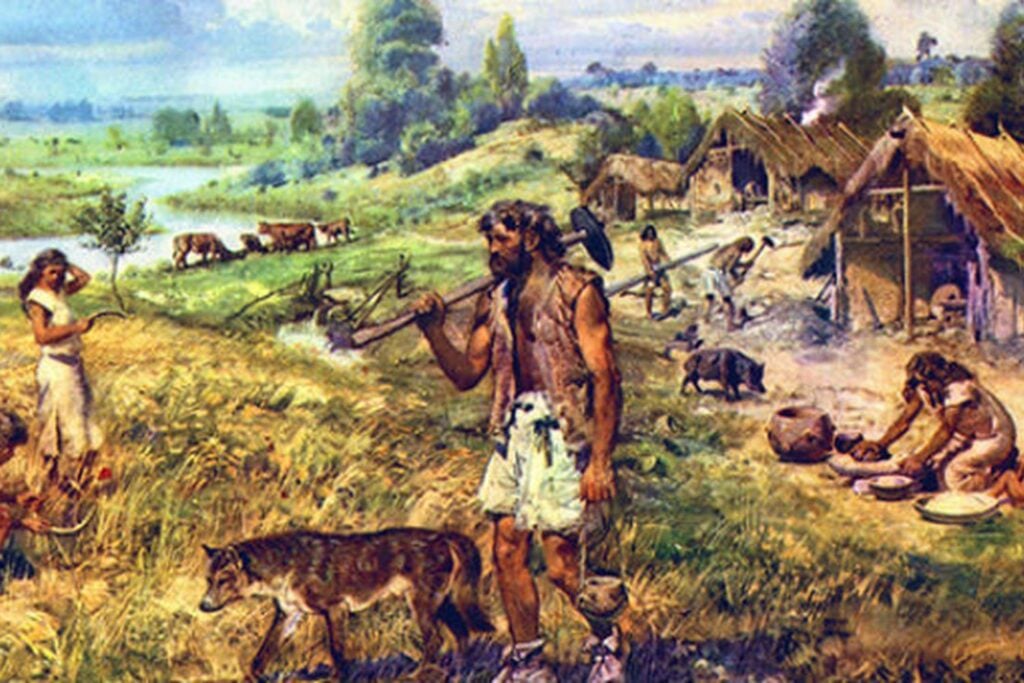 Sociedades en el Neolítico europeo