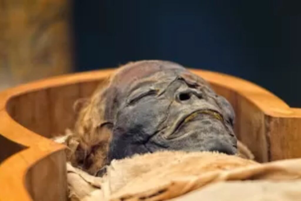 Descubren 52 momias en Egipto con un detalle sorprendente