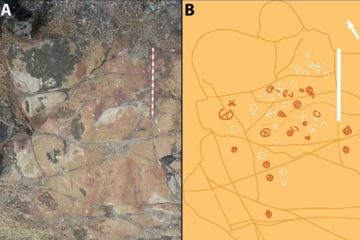 Huellas de dinosaurios de 9000 años y arte rupestre: un hallazgo que asombra a la ciencia