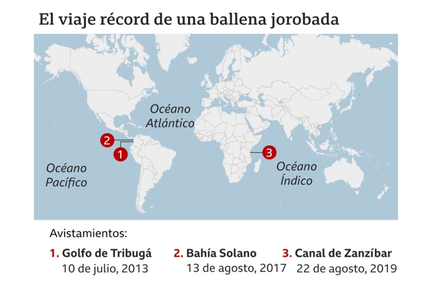 Una ballena recorre más de 13.000 kilómetros de Colombia hasta Zanzíbar