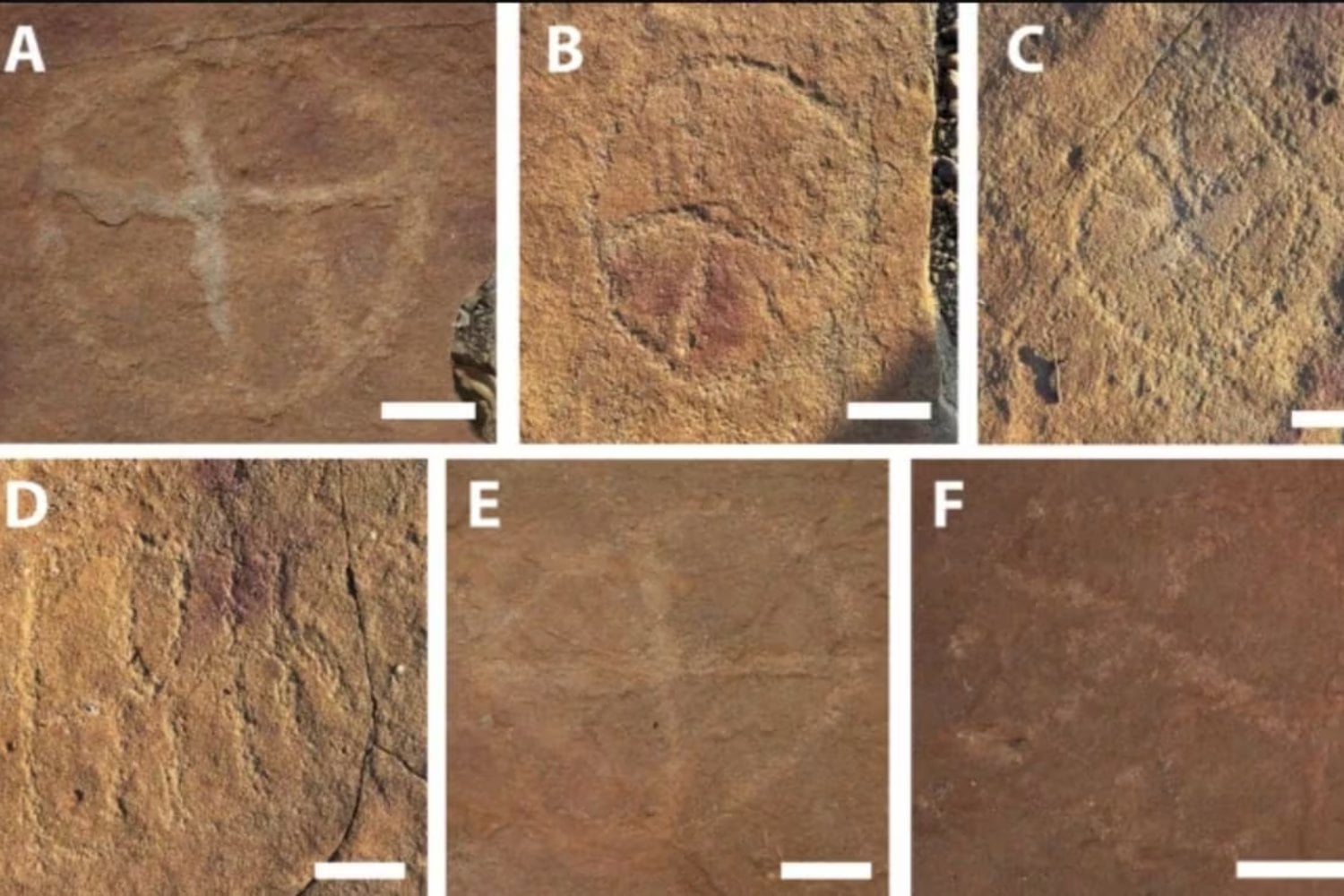 Huellas de dinosaurios de 9000 años y arte rupestre: un hallazgo que asombra a la ciencia
