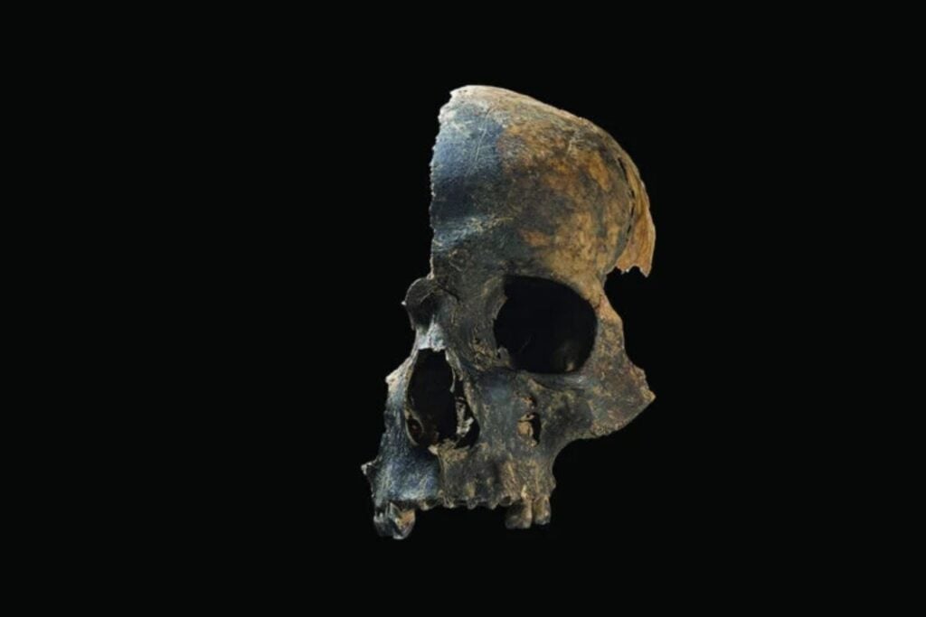 Diseño Sin Título (94)