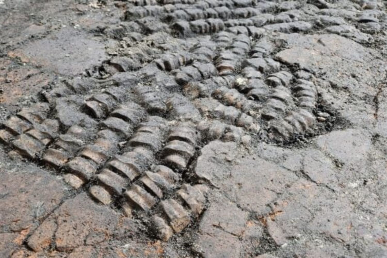 Diseño Sin Título (98)