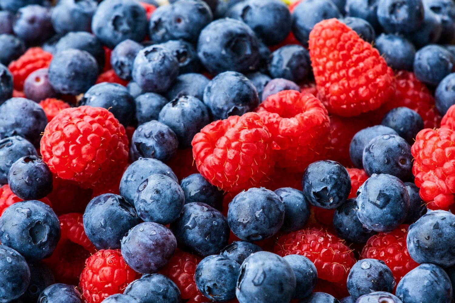 Mejor Postre Para El Intestino