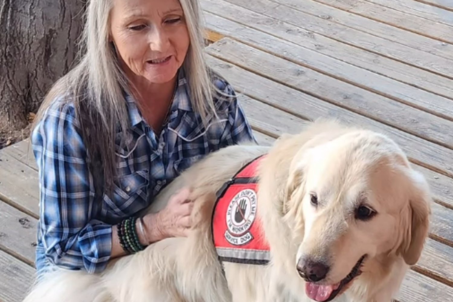 Sampson Perro Cientifico