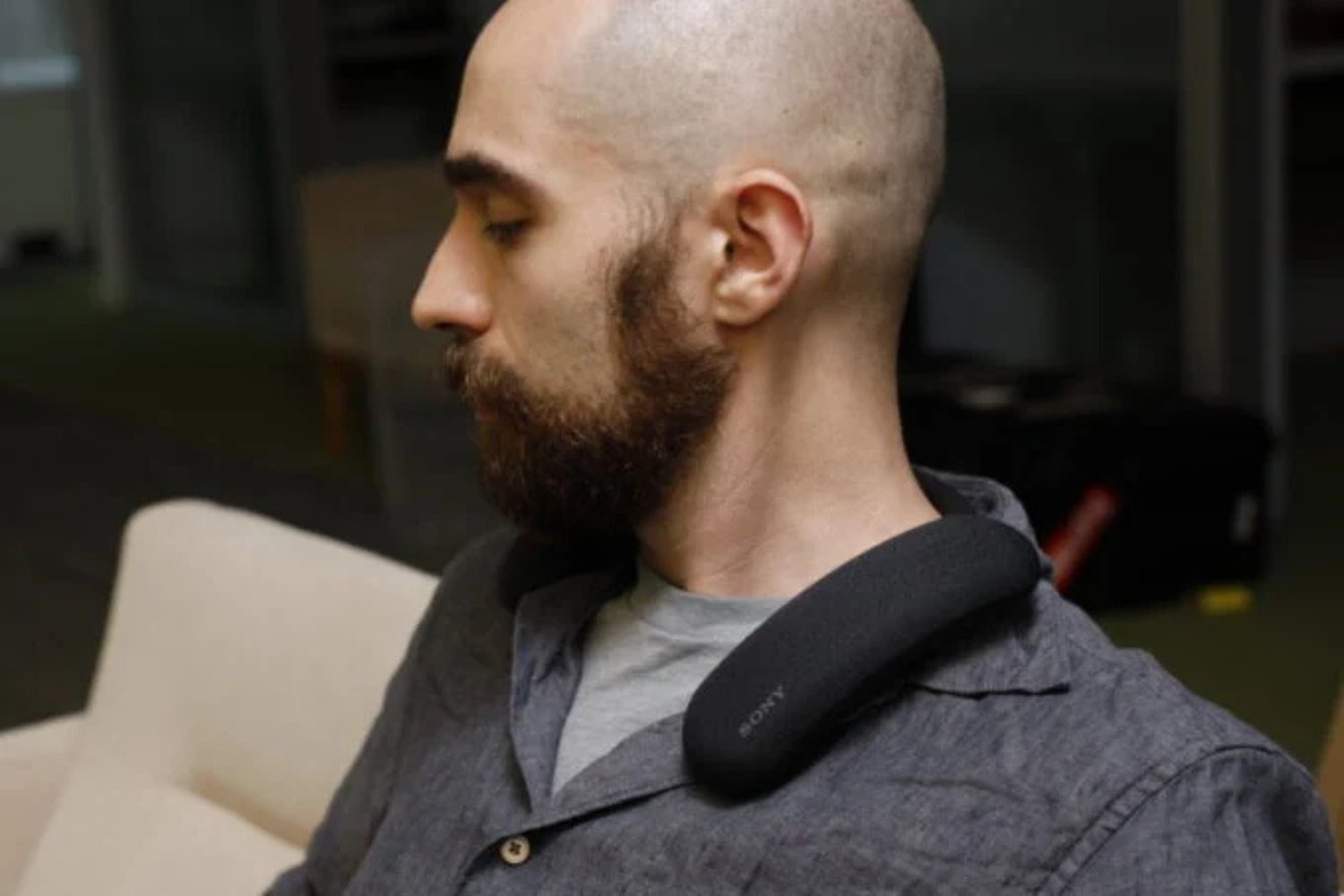 Sony Bravia Theater U