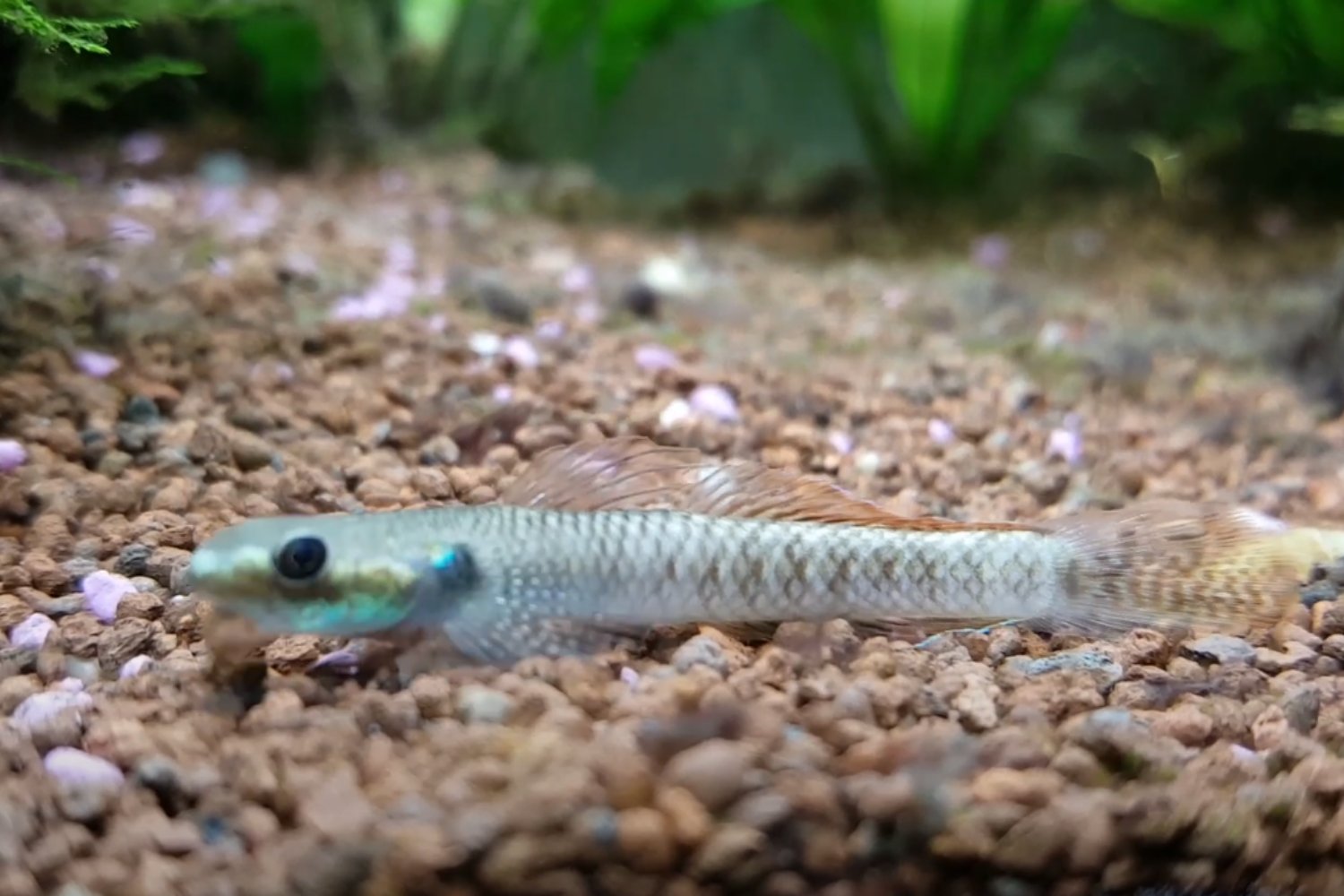 Descubrimientos Submarinos En 2024