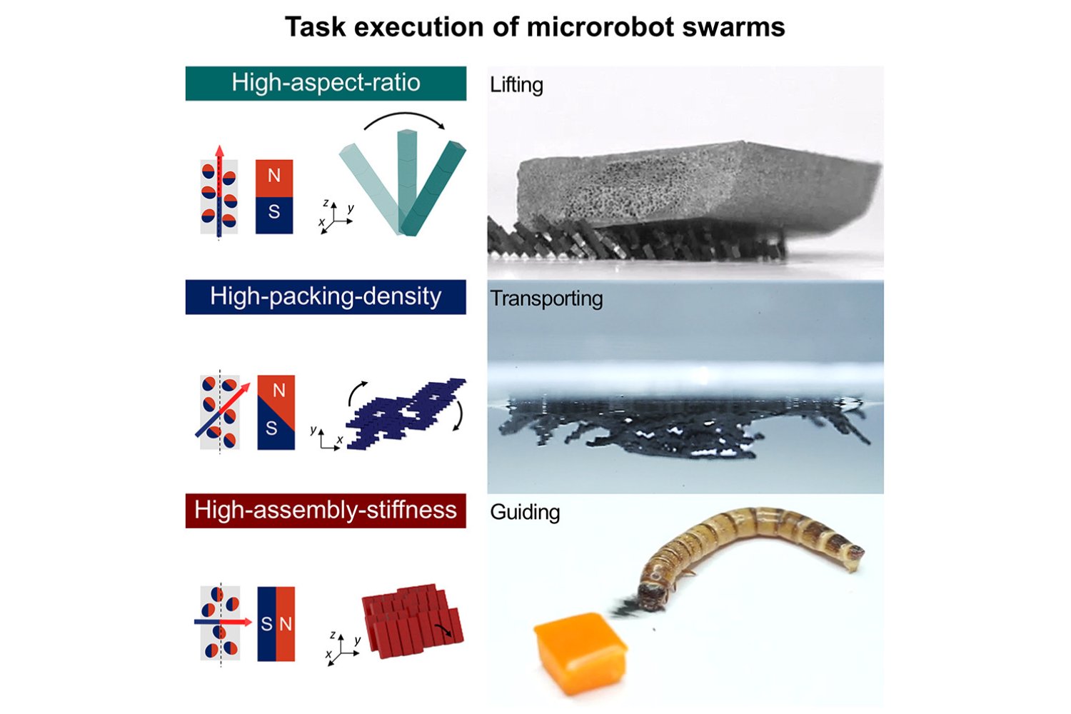 El futuro médico está aquí: microrobots "hormiga"