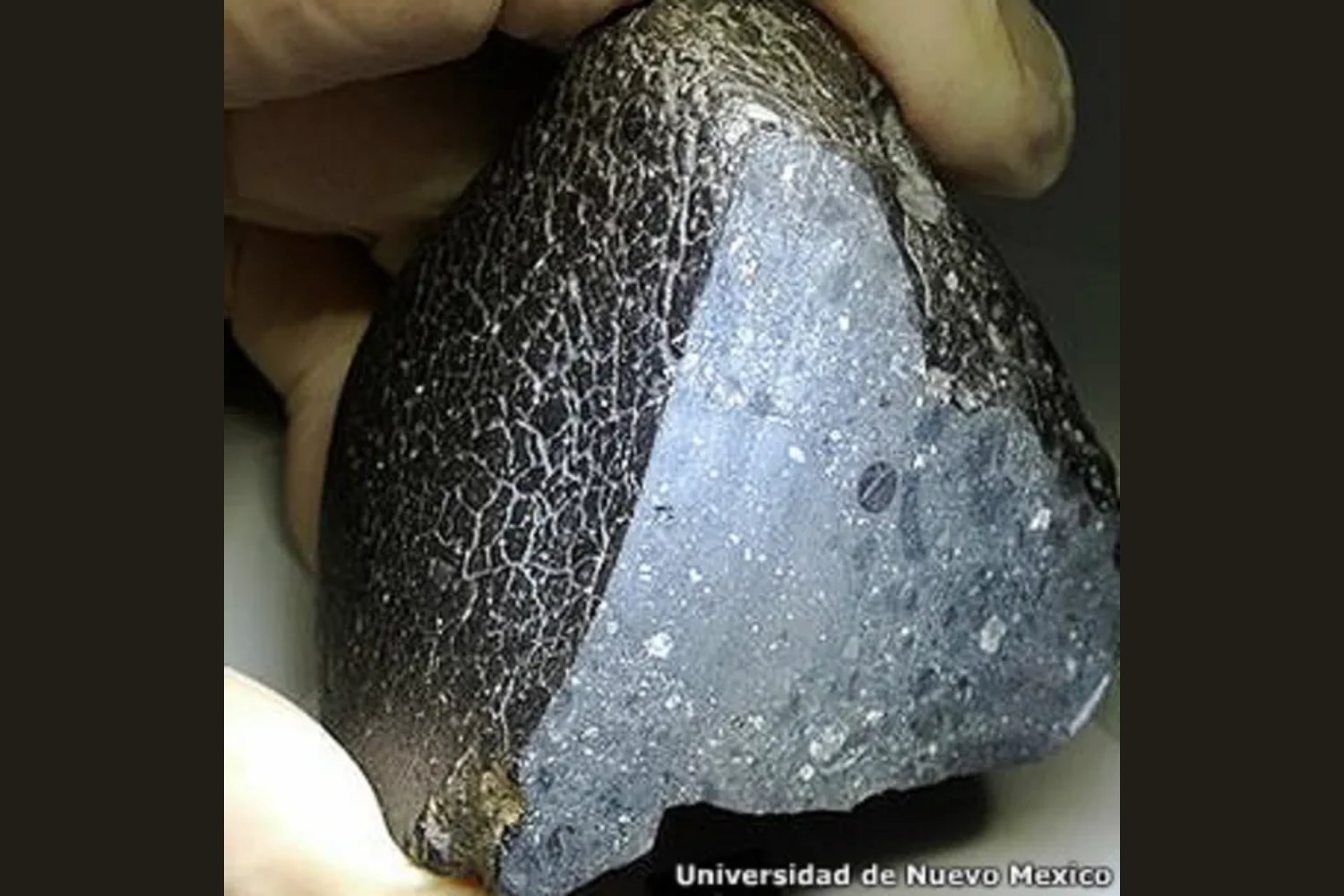 Un mineral escondido en un meteorito revela un Marte sorprendente: ¿hubo vida en sus aguas termales?