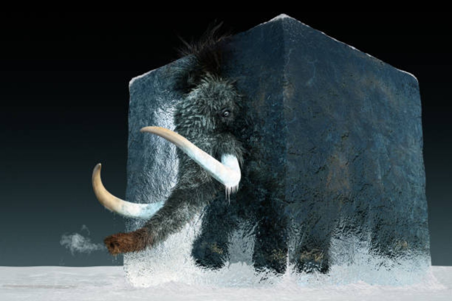 El regreso del mamut: un logro científico cercano con consecuencias inciertas