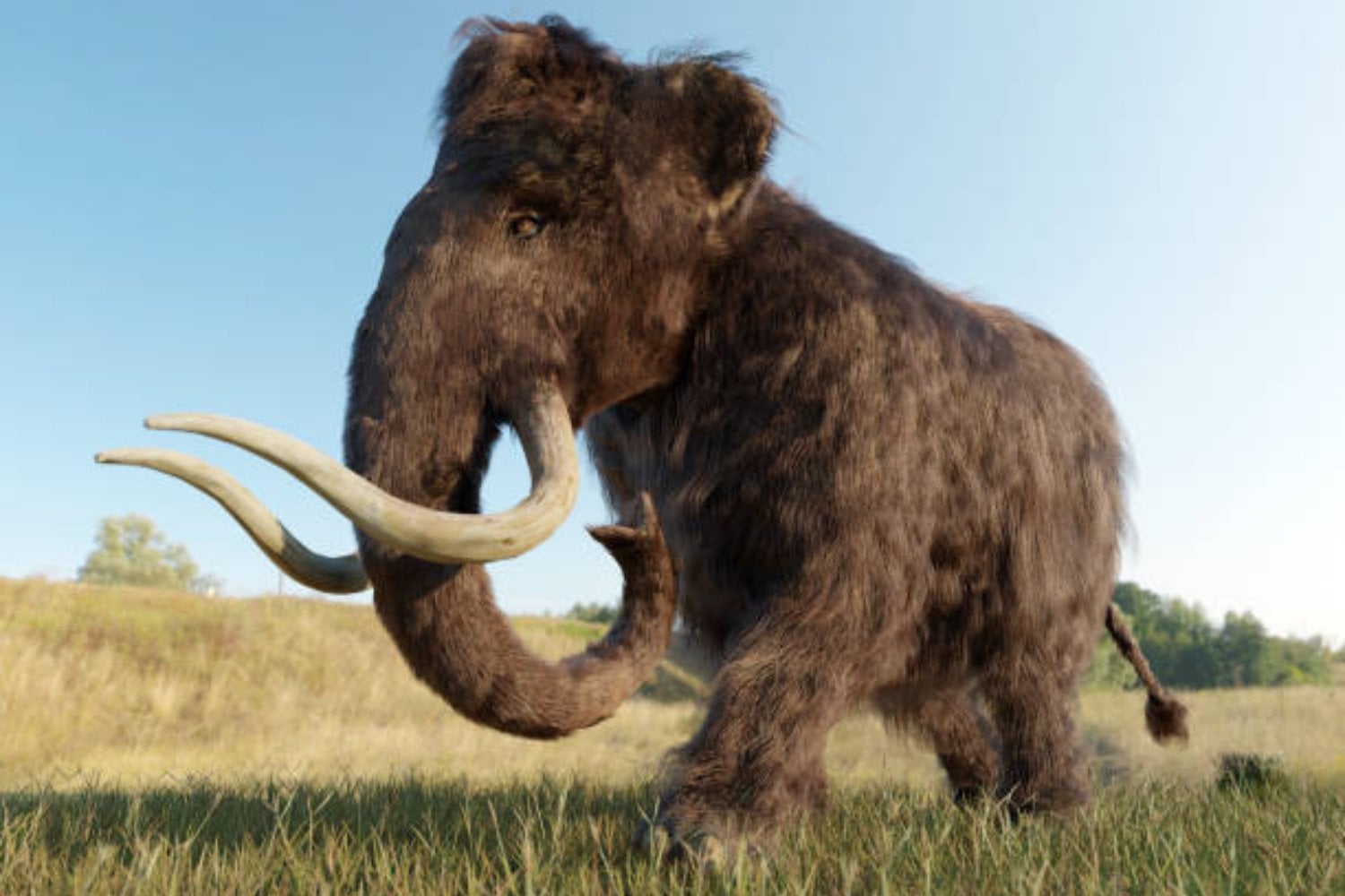 El regreso del mamut: un logro científico cercano con consecuencias inciertas