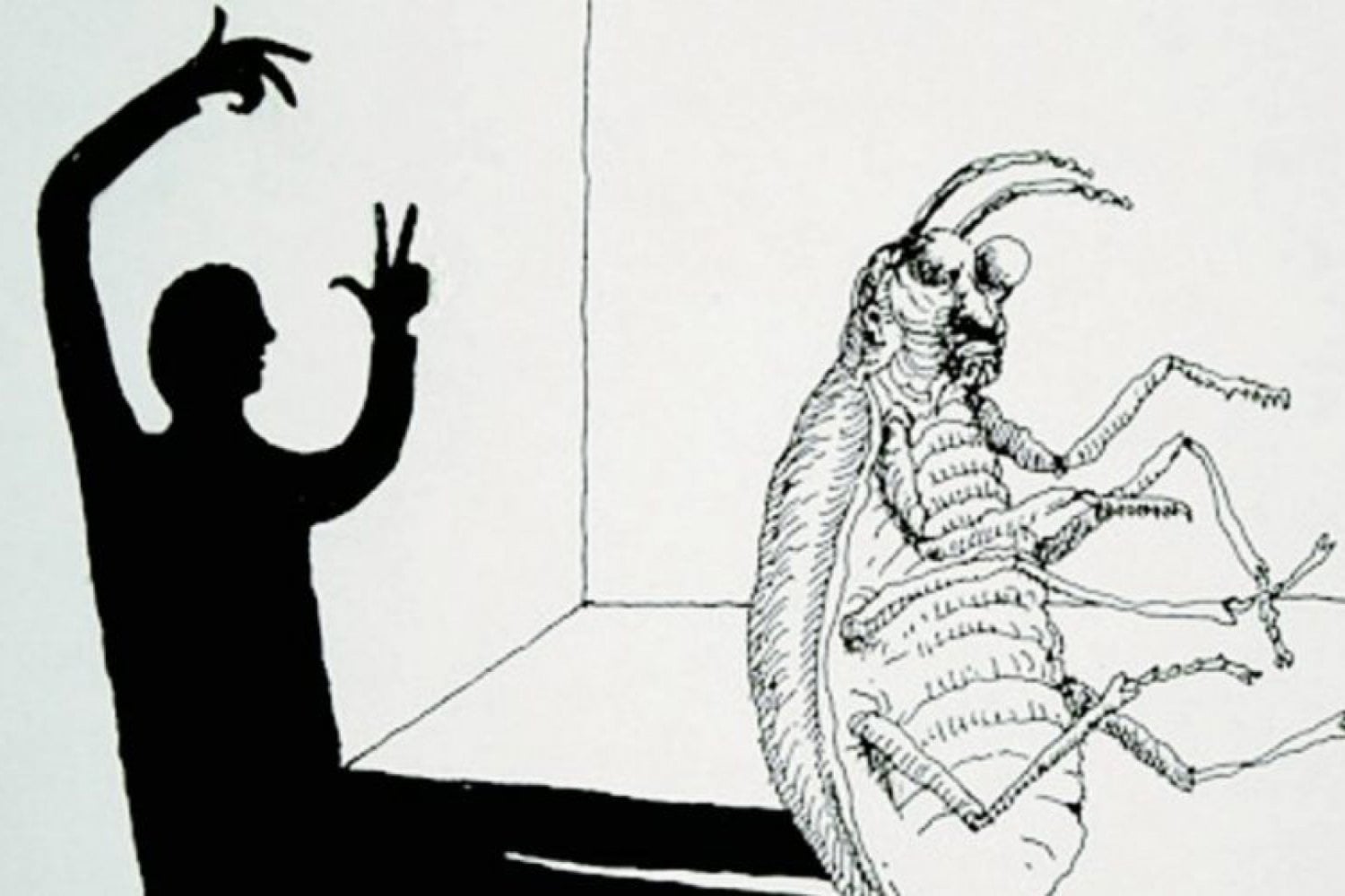 ¿Qué revela el escarabajo de Kafka sobre la mecánica cuántica?