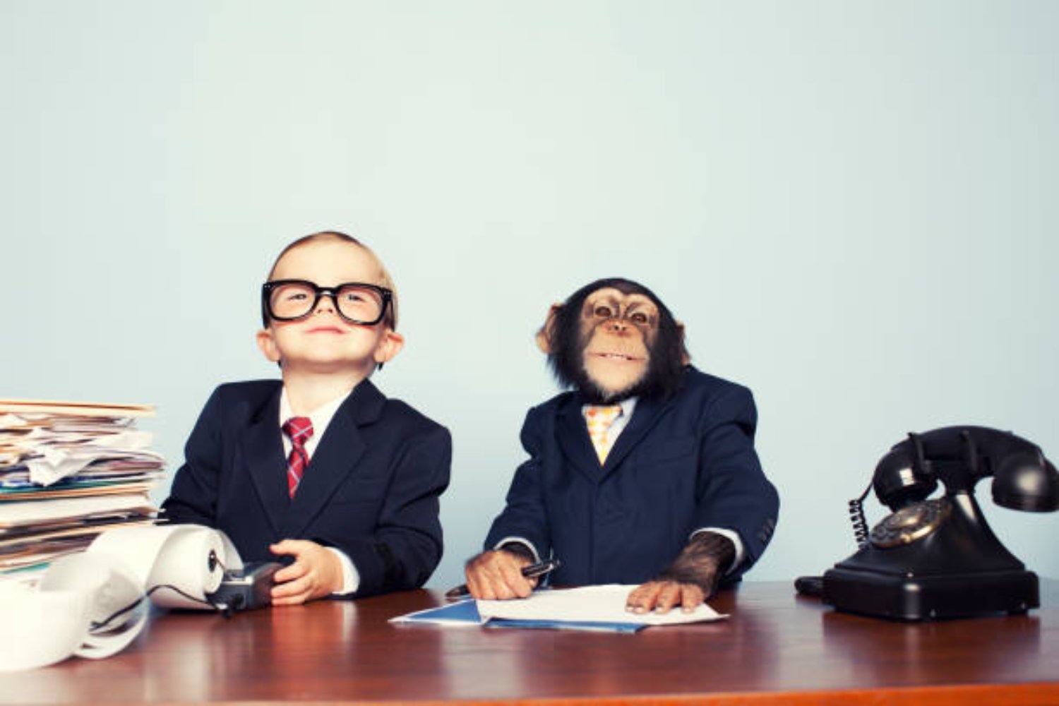 Una máquina genética que conecta el pasado y el presente de los chimpancés