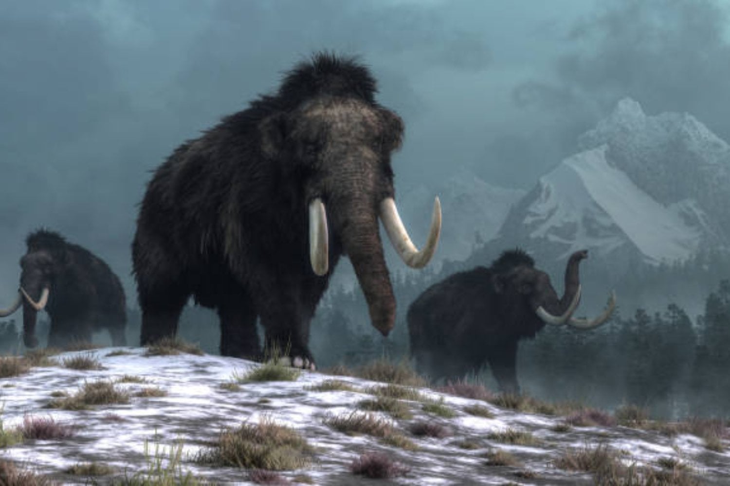 El regreso del mamut: un logro científico cercano con consecuencias inciertas