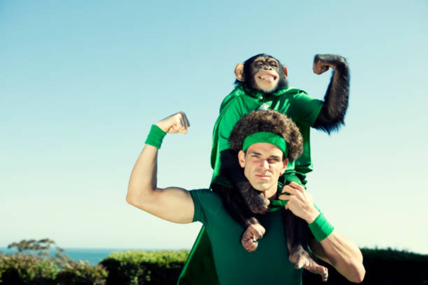 Una máquina genética que conecta el pasado y el presente de los chimpancés