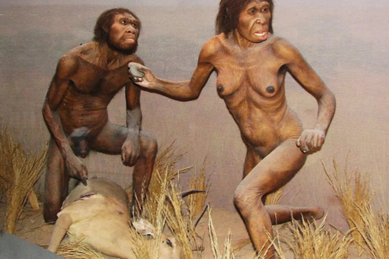 La especie humana que desafió el desierto hace más de un millón de años