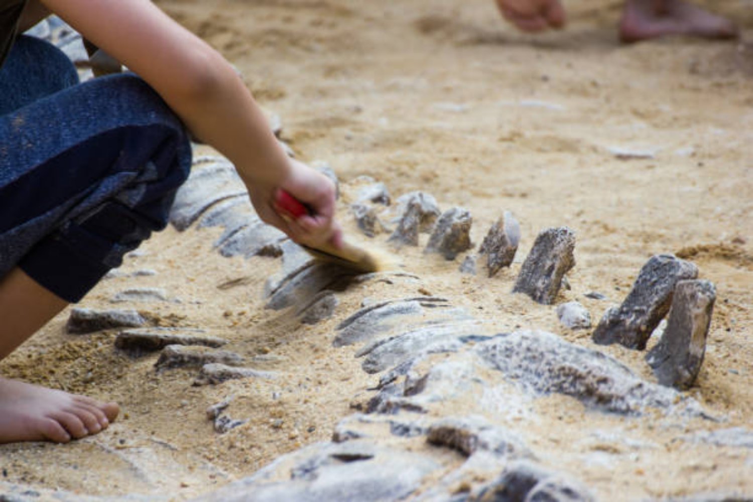 La región oculta donde podrían estar los primeros fósiles de dinosaurios
