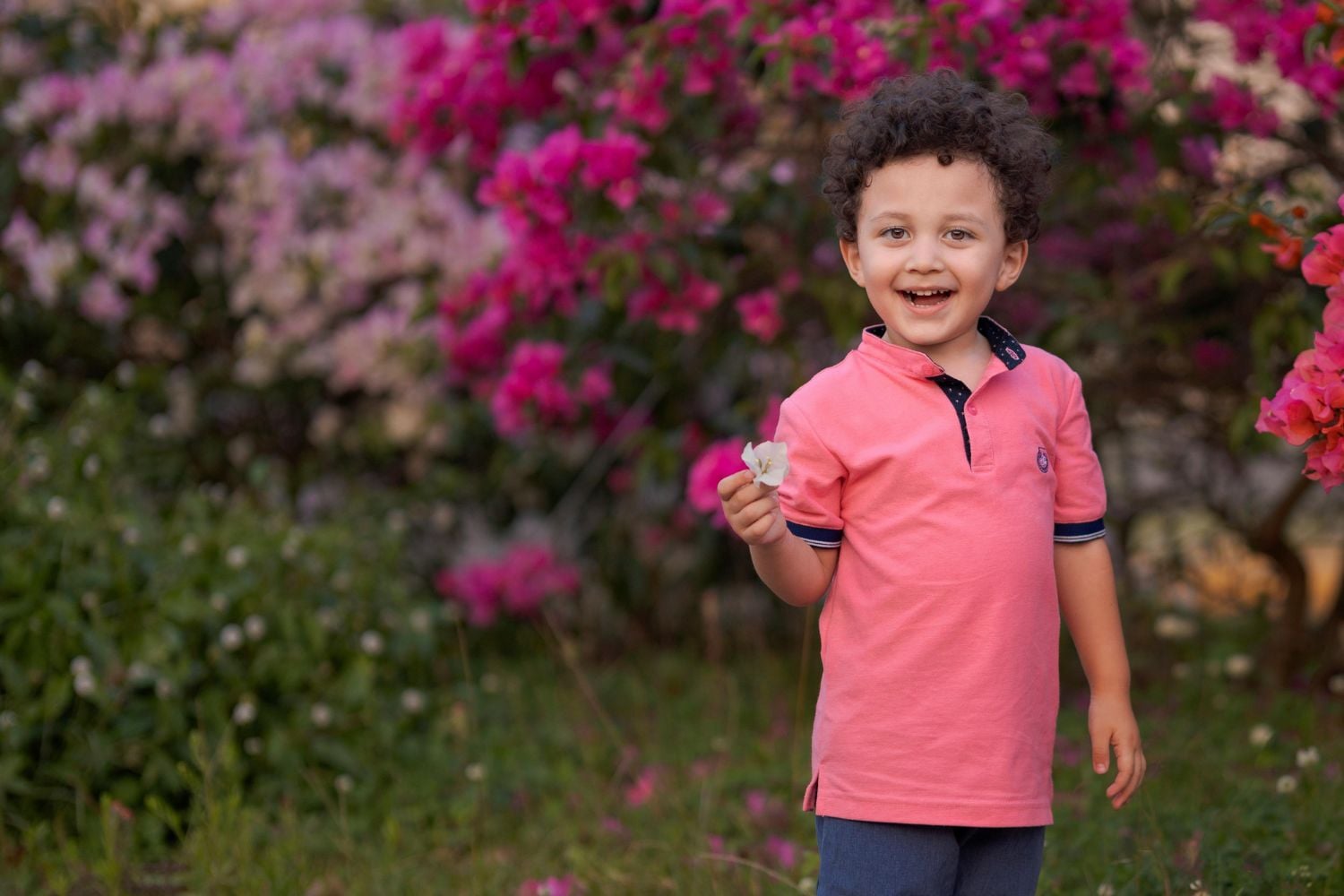 Diseño Sin Título 2025 01 06t101542.932