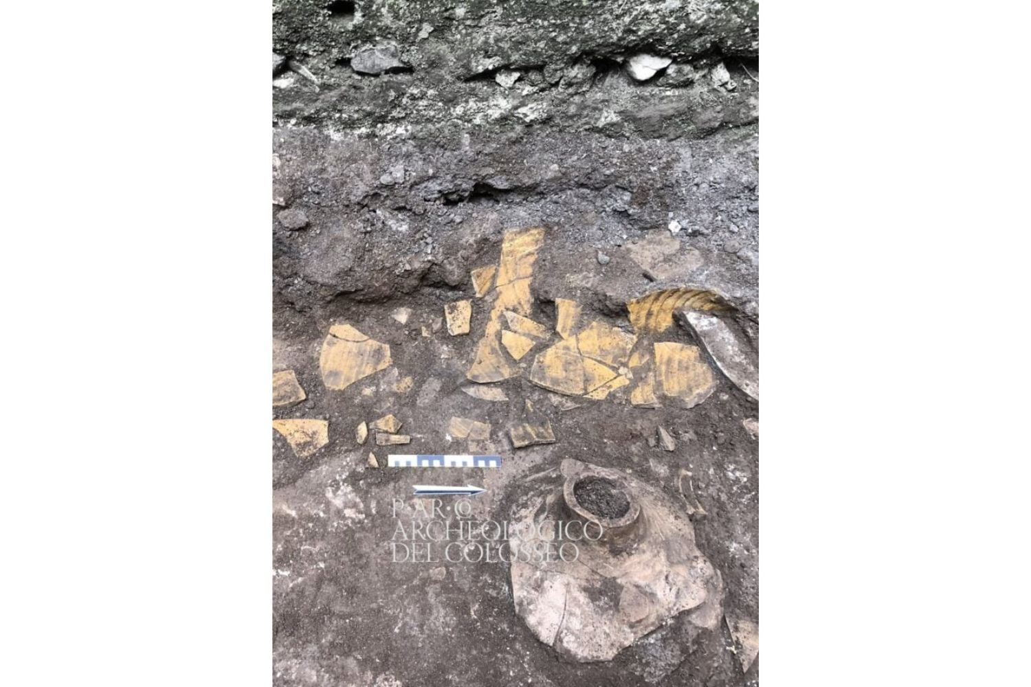 Diseño Sin Título 2025 01 26t171451.676