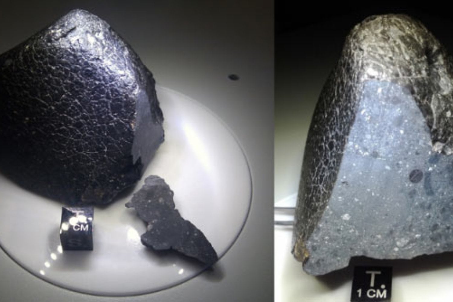 Un estadounidense compró una roca en Marruecos y una década después descubren su increíble valor