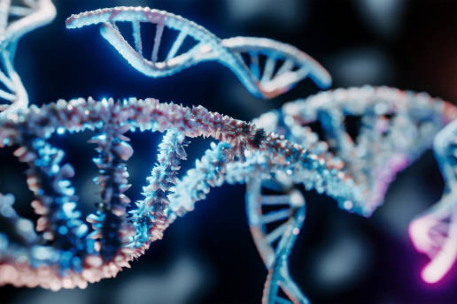 Una paradoja en la evolución podría reescribir las reglas de la biología