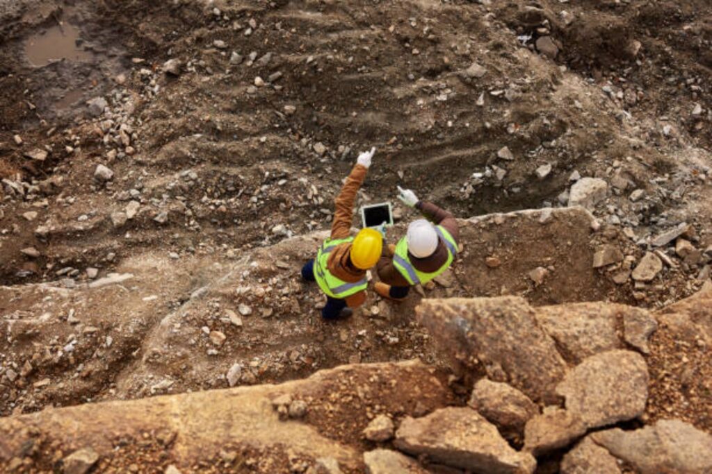 Eucaliptos y oro: el sorprendente hallazgo científico que conecta árboles con minería
