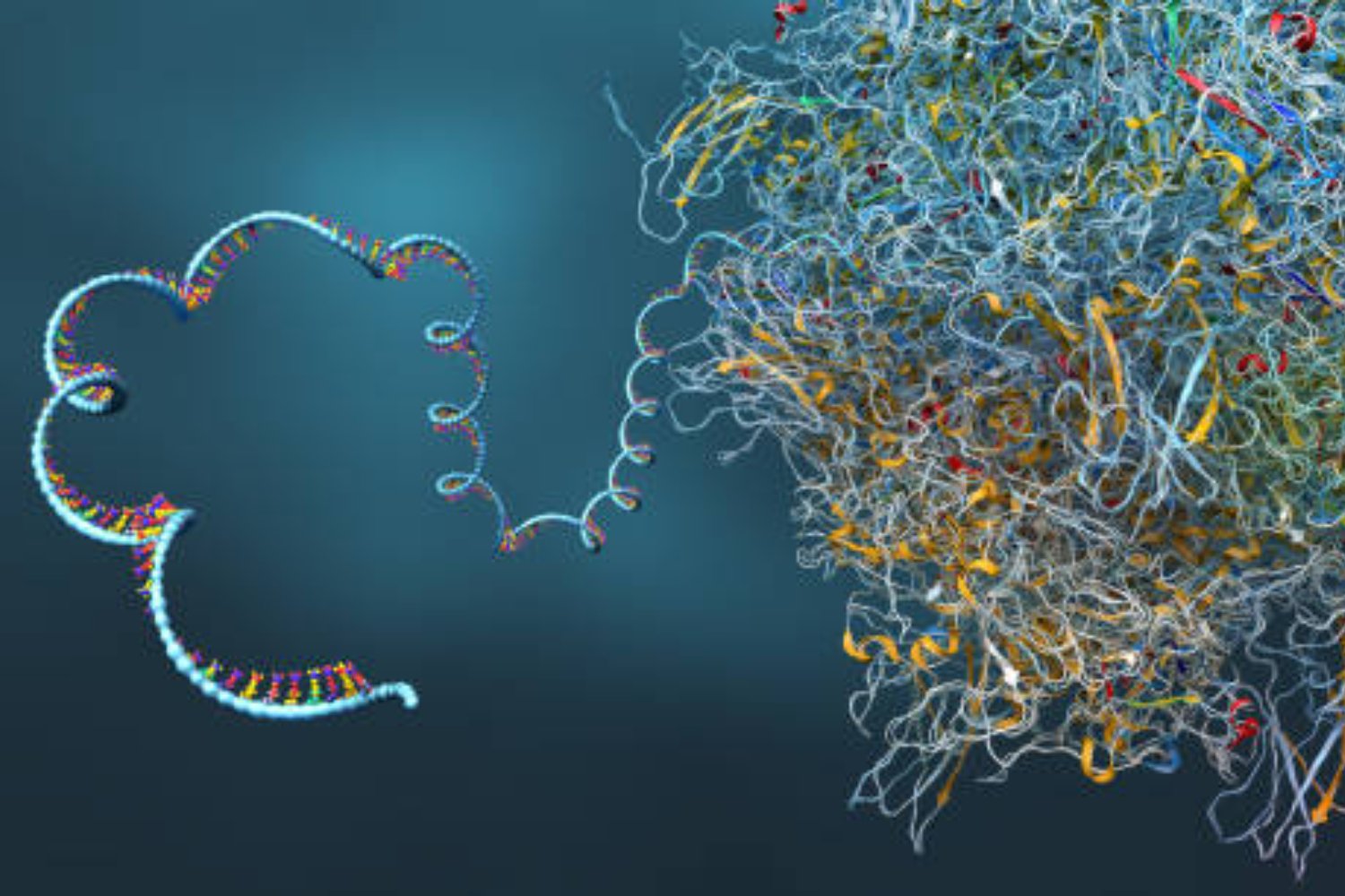 Una paradoja en la evolución podría reescribir las reglas de la biología