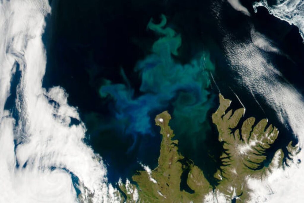 Un espectáculo natural en las costas de las Islas Malvinas: la NASA revela un fenómeno único
