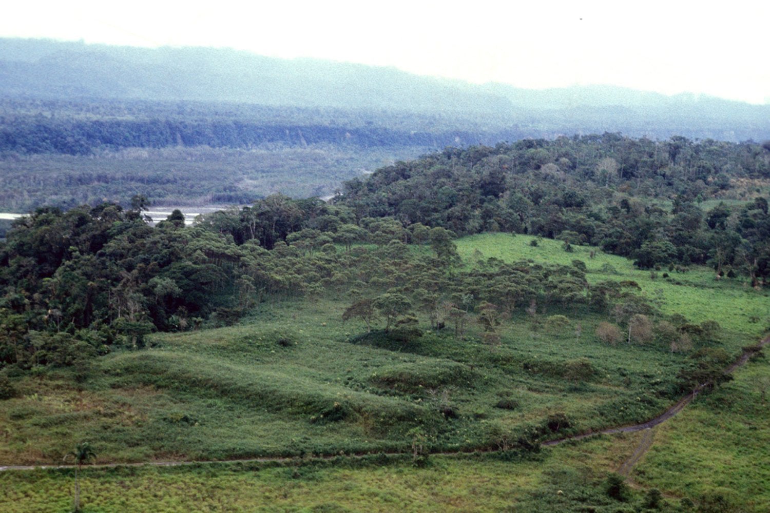 La antigua civilización amazónica: ¿Un hallazgo que cambia la historia?