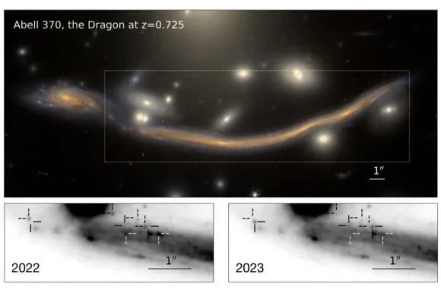 Un tesoro cósmico revelado: las 44 estrellas que redefinen la astronomía
