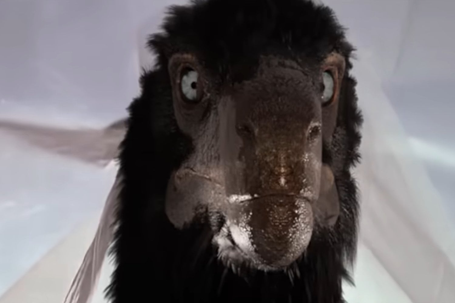 La nueva versión de Jurassic Park que sorprende con dinosaurios más reales