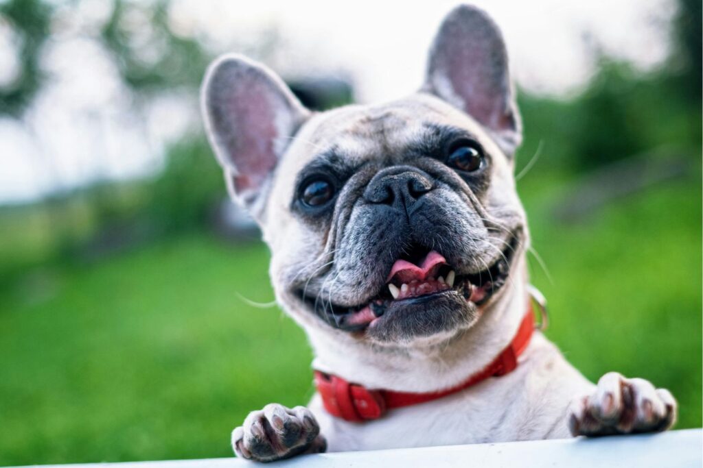 Diseño Sin Título (37)