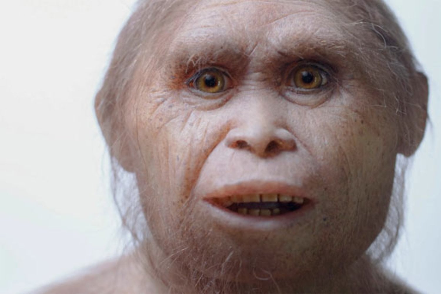 Una especie humana olvidada que desafía lo que creíamos saber