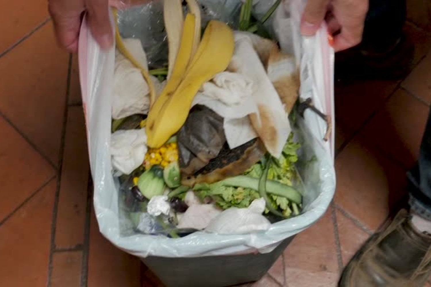 ¿Qué revela el hábito de posponer sacar la basura según la psicología?